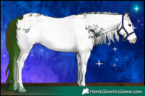 Horse Color:White Spotted Liver Chestnut Blanket