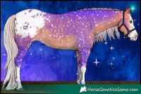 Horse Color:Watercolor White Spotted Silver Buckskin Splash Blanket 
