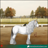 Horse Color:White Spotted Bay Dun Tobiano Frame 