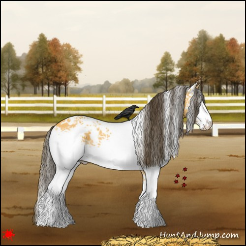 Horse Color:White Spotted Buckskin Dun Rabicano