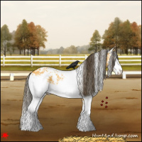 Horse Color:White Spotted Buckskin Dun Rabicano