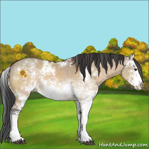Horse Color:Brown Dun Sabino 