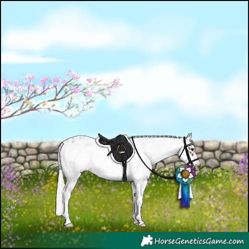 Horse Color:White Spotted Silver Brown Sabino Frame 