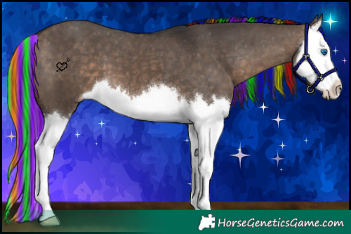 Horse Color:Painted Brown Dun Splash Appaloosa