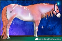 Horse Color:Watercolor Liver Red Onyx Sabino Appaloosa 