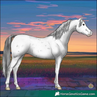 Horse Color:Brown Sabino 