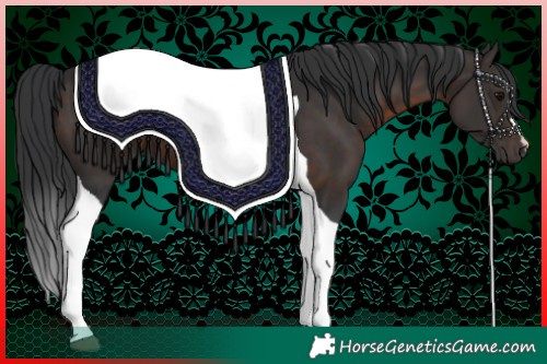 Horse Color:Brown Tobiano