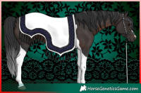 Horse Color:Brown Tobiano 