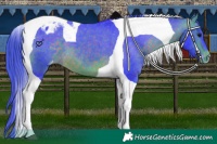 Horse Color:Watercolor Buckskin Tobiano Varnish 