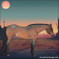 Horse Color:Bay Roan 