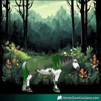 Horse Color:Grullo Splash 