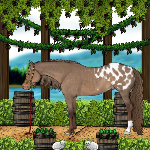 Horse Color:Liver Red Dun Appaloosa 