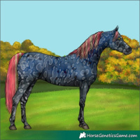 Horse Color:ERROR: UNKNOWN ANOMALY