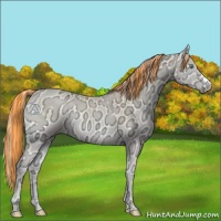 Horse Color:Painted Perlino Ice Onyx 