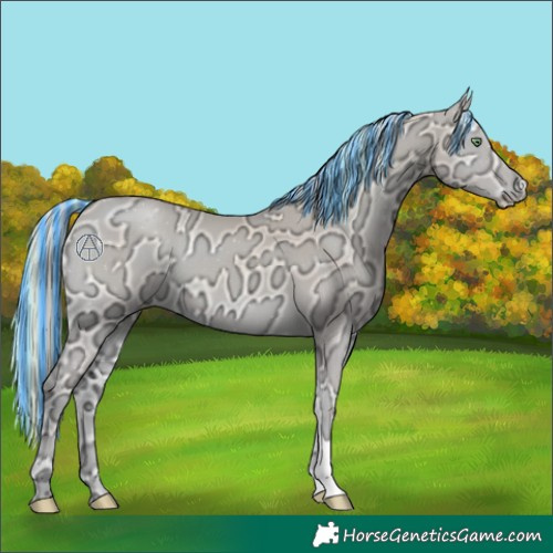 Horse Color:Painted Perlino Ice Onyx 