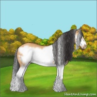Horse Color:Bay Dun Splash Frame