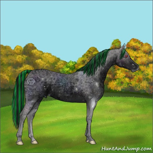 Horse Color:ERROR: UNKNOWN ANOMALY