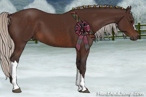 Horse Color:Silver Brown 