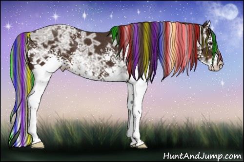 Horse Color:Painted White Spotted Liver Chestnut Ice Splash Rabicano