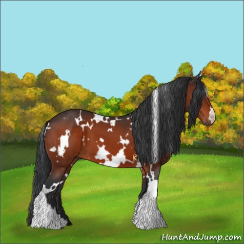 Horse Color:White Spotted Bay 