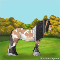 Horse Color:White Spotted Brown Dun 