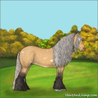 Horse Color:White Spotted Silver Buckskin Dun 
