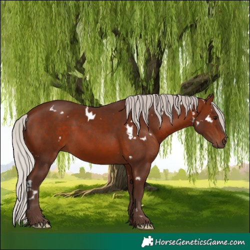 Horse Color:White Spotted Silver Brown 