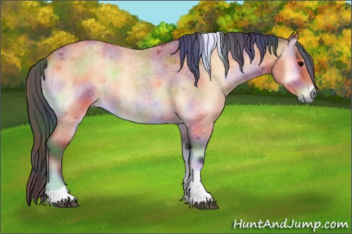 Horse Color:Nacre Bay Roan Onyx Tobiano 