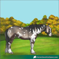 Horse Color:White Spotted Blue Onyx 