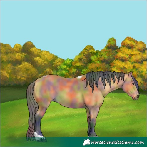 Horse Color:Nacre Buckskin Tobiano 