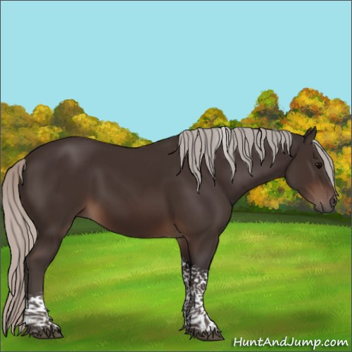 Horse Color:Silver Brown Tobiano 