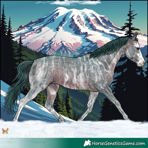 Horse Color:Watercolor White Spotted Brown Ice 