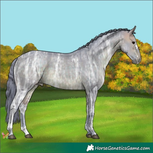 Horse Color:Watercolor White Spotted Brown Ice 