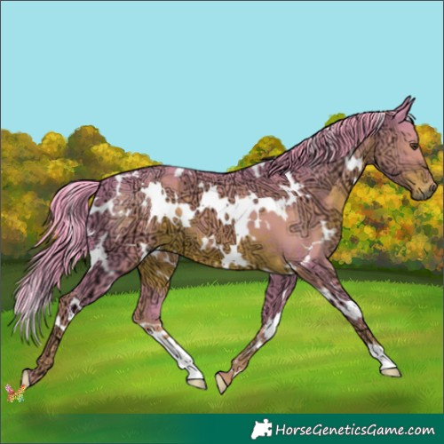 Horse Color:Watercolor White Spotted Liver Chestnut Ice 