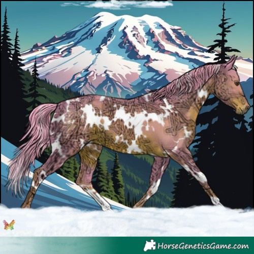 Horse Color:Watercolor White Spotted Liver Chestnut Ice 