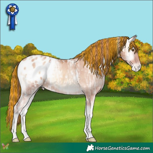 Horse Color:Painted White Spotted Gold Champagne Ice Onyx Appaloosa Rabicano 
