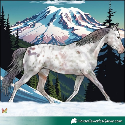 Horse Color:Nacre White Spotted Liver Chestnut Ice Appaloosa 
