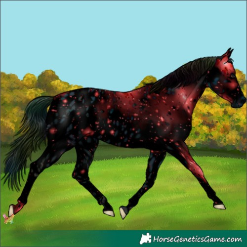 Horse Color:ERROR: UNKNOWN ANOMALY