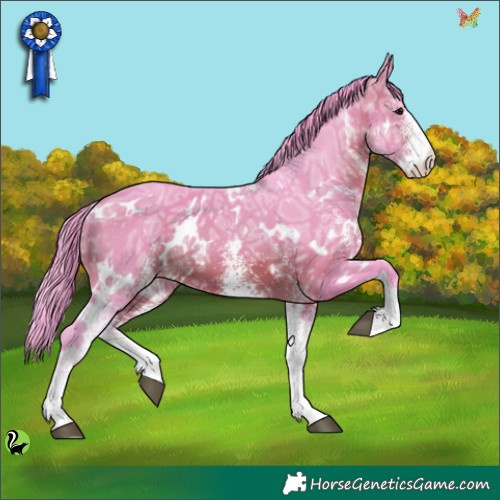 Horse Color:Watercolor White Spotted Brown Ice 