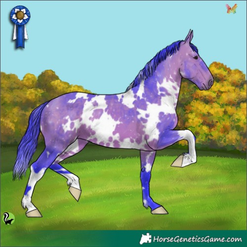 Horse Color:Watercolor White Spotted Bay 
