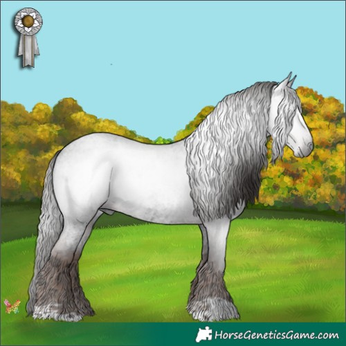 Horse Color:Gray Liver Red Ice Roan 