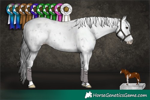 Horse Color:Black Sabino Rabicano 