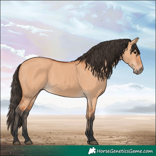 Horse Color:Bay Dun 