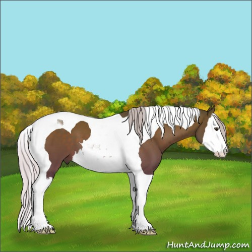 Horse Color:Silver Brown Splash Tobiano 