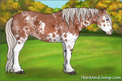 Horse Color:White Spotted Silver Bay Ice Splash 
