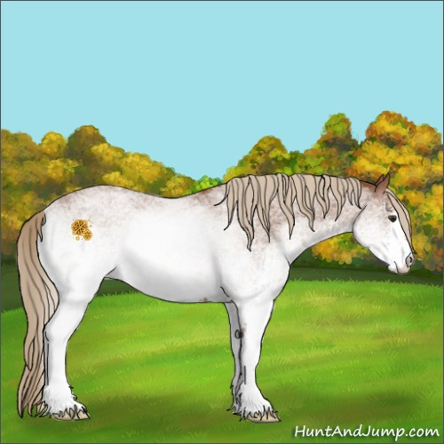 Horse Color:White Spotted Red Roan 