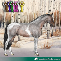 Horse Color:Brown Roan Tobiano 
