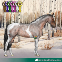 Horse Color:Brown Roan Tobiano