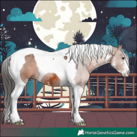 Horse Color:Brown Sabino Tobiano 