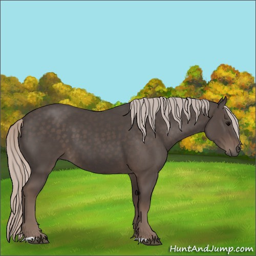 Horse Color:Silver Black 